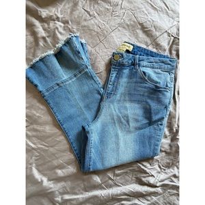 Democracy High Rise Cropped Jeans